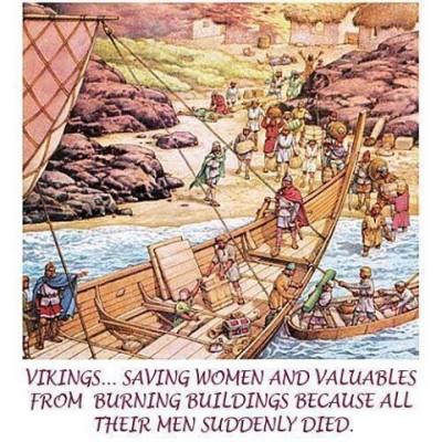 vikings.jpg